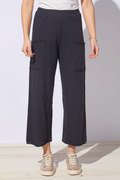 Front - navy flood pant